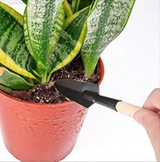 10 pcs/set succulent planting tools, gardening potted flower planting tool set AZ21593