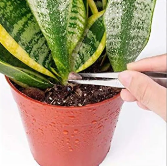 10 pcs/set succulent planting tools, gardening potted flower planting tool set AZ21593