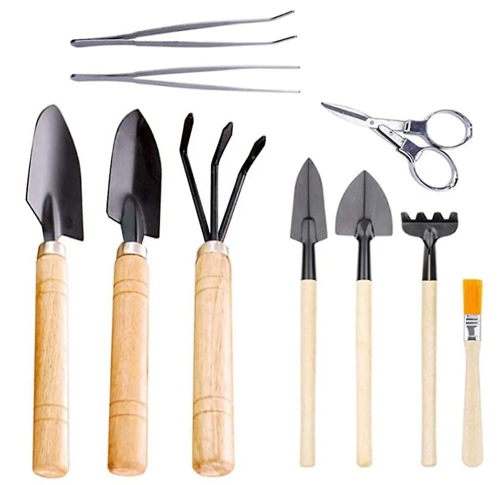 10 pcs/set succulent planting tools, gardening potted flower planting tool set AZ21593