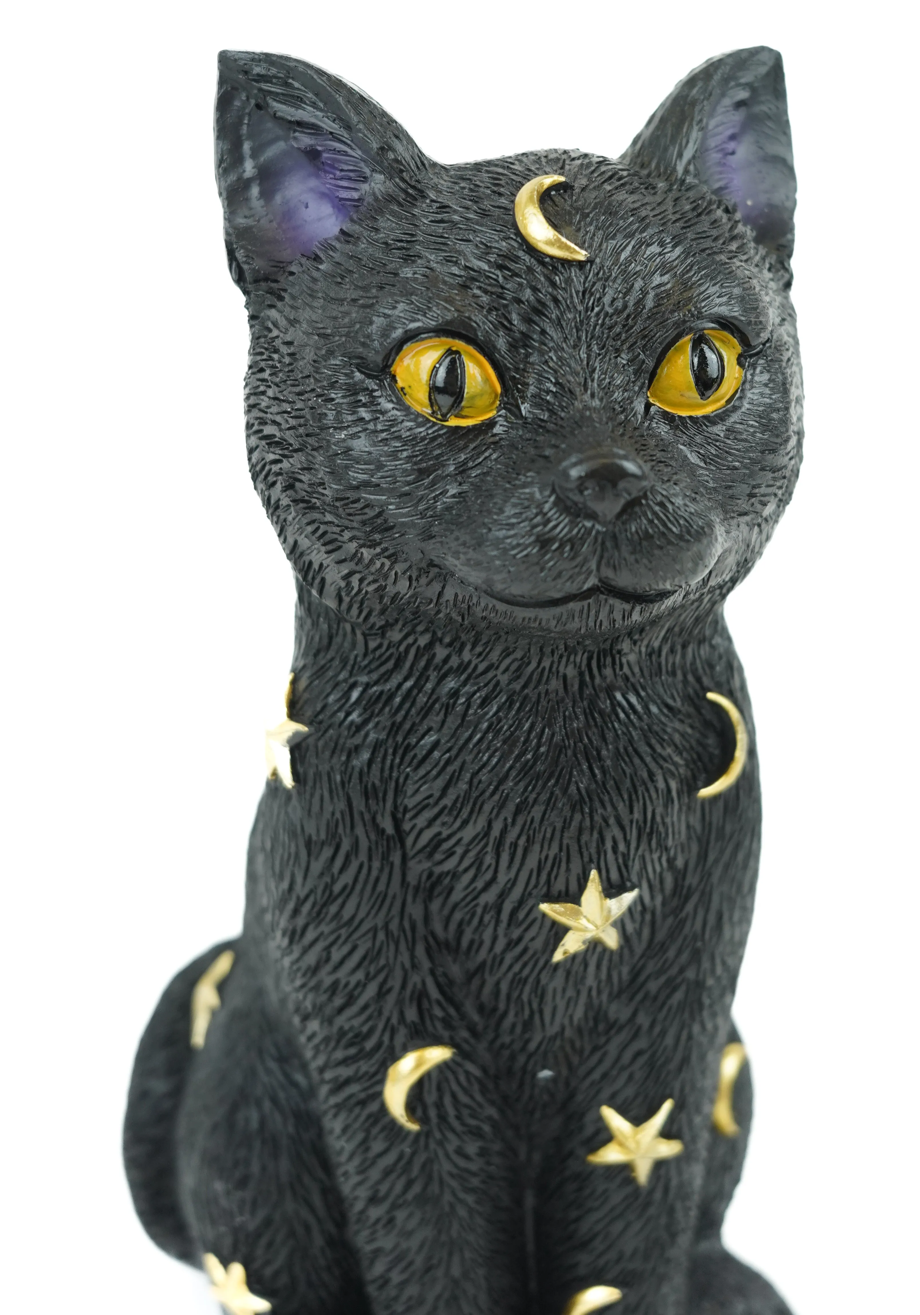 Astronomy Black Cat | FIGURE