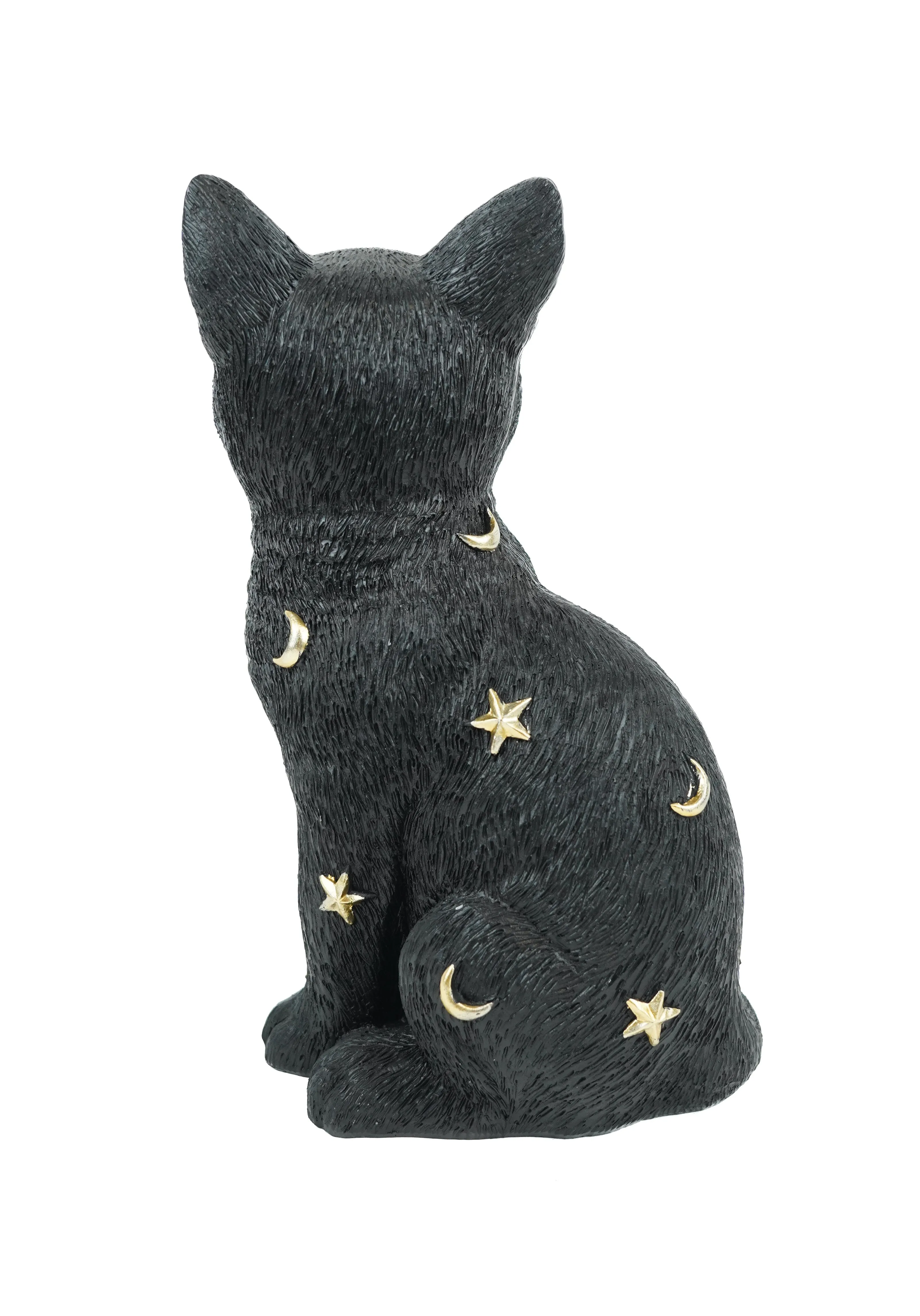 Astronomy Black Cat | FIGURE