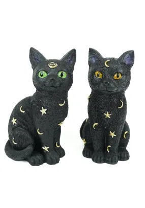 Astronomy Black Cat | FIGURE