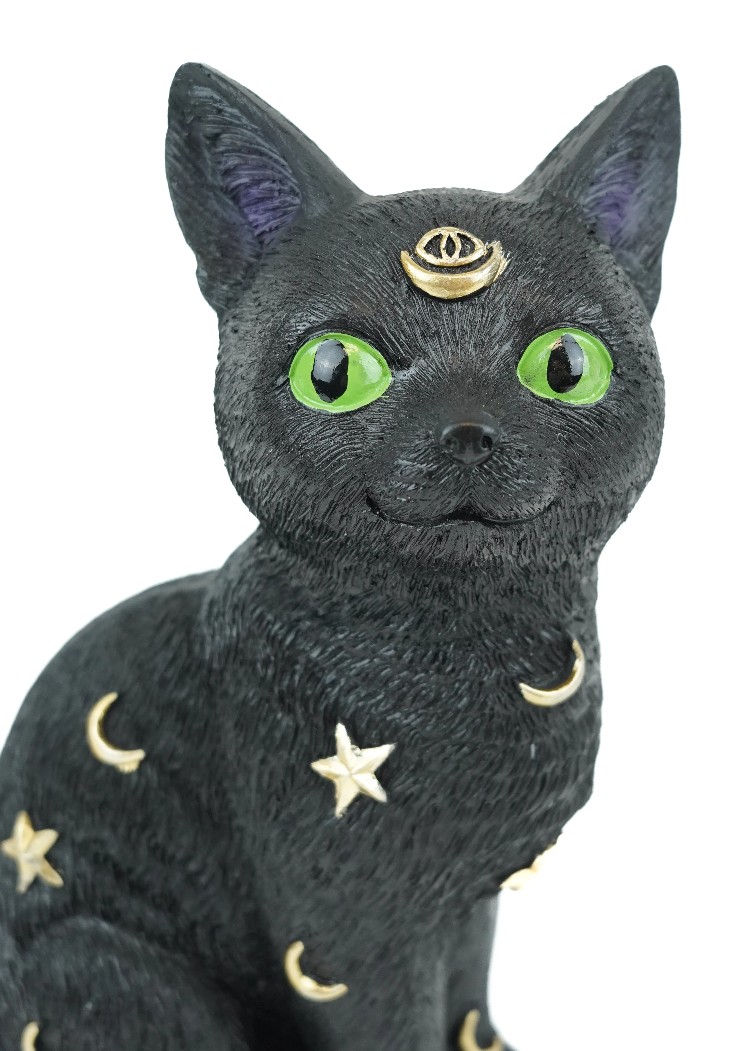 Astronomy Black Cat | FIGURE