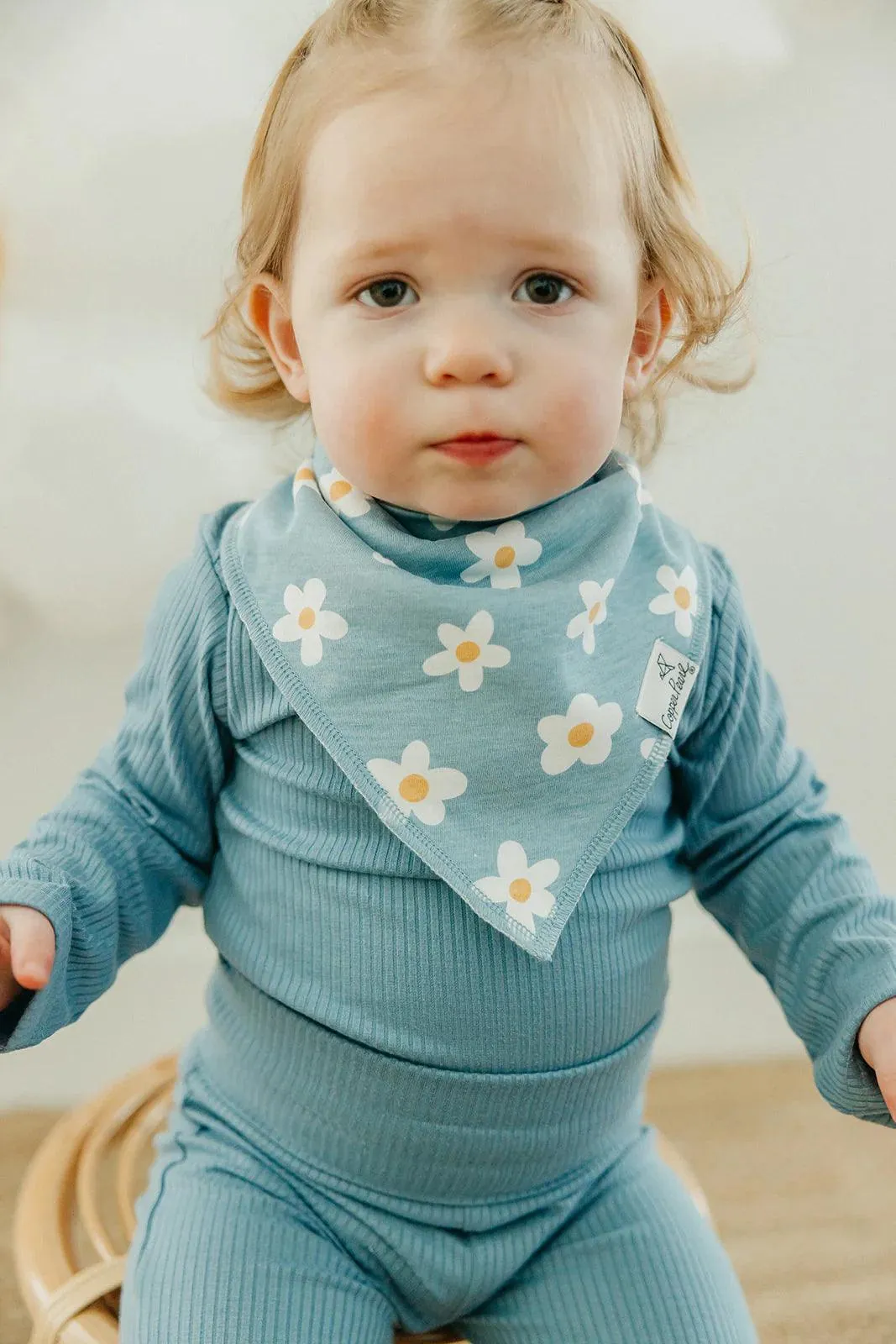 Baby Bandana Bibs - Goosie