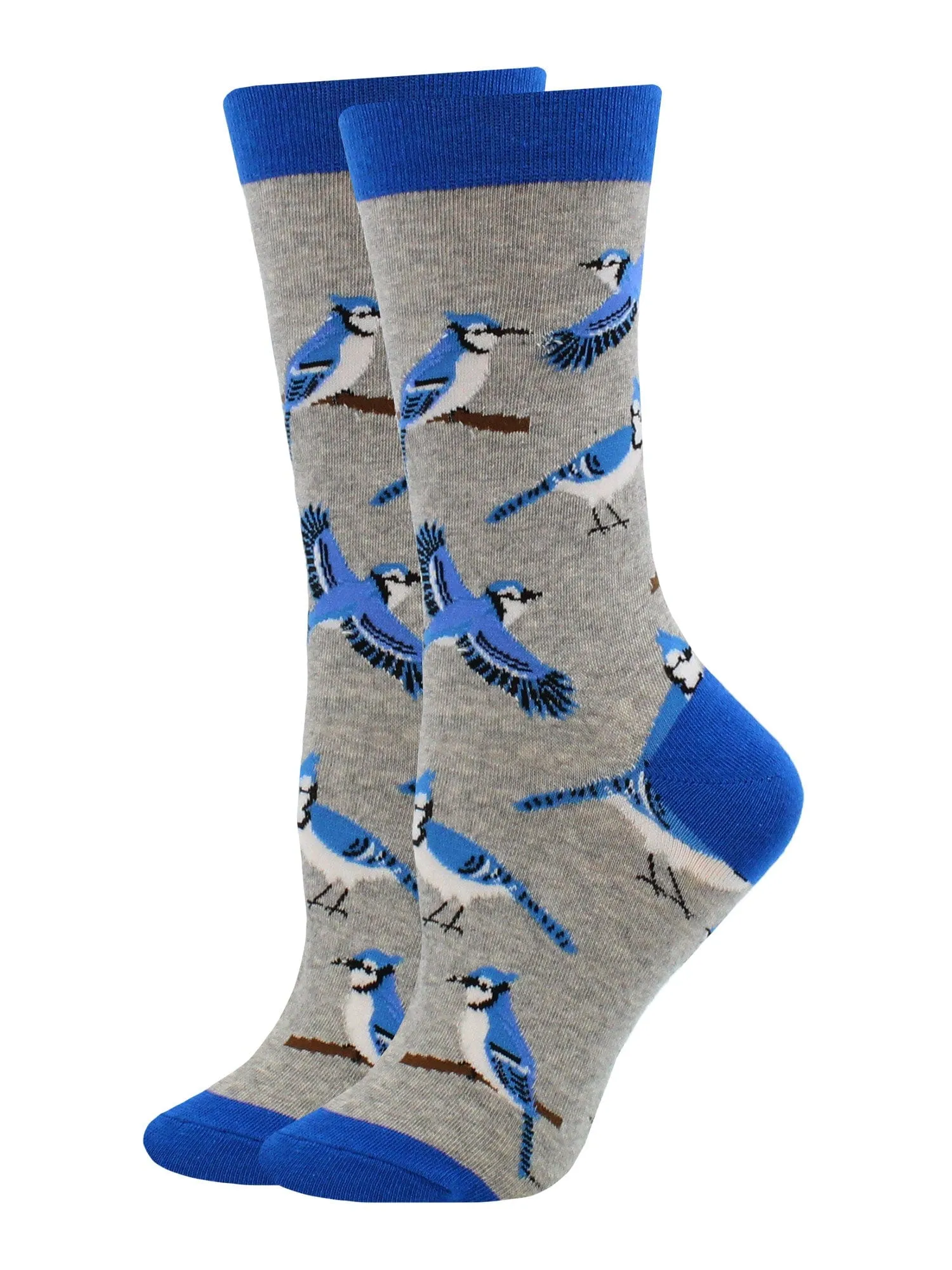 Blue Jay Bird Socks Perfect Bird Lovers Gift