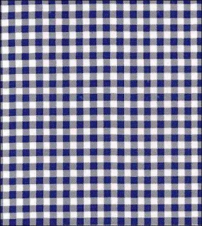 Freckled Sage Oilcloth Doggie Raincoat in Gingham Navy