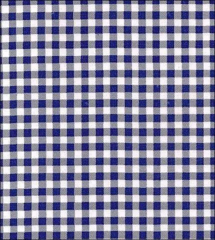 Freckled Sage Oilcloth Doggie Raincoat in Gingham Navy